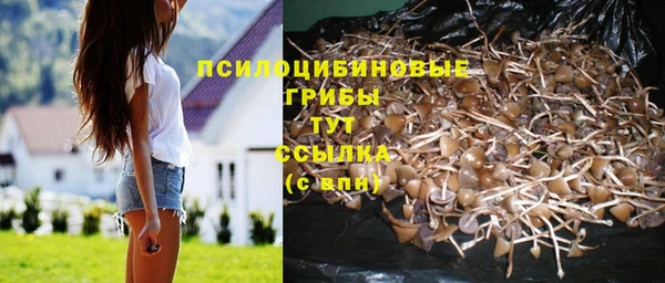 хмурый Богородск