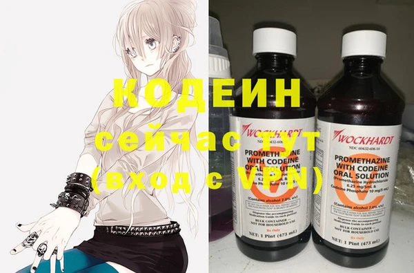 хмурый Богородск