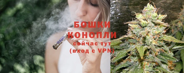 спайс Богородицк