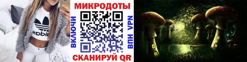 Галлюциногенные грибы Psilocybe  Надым 